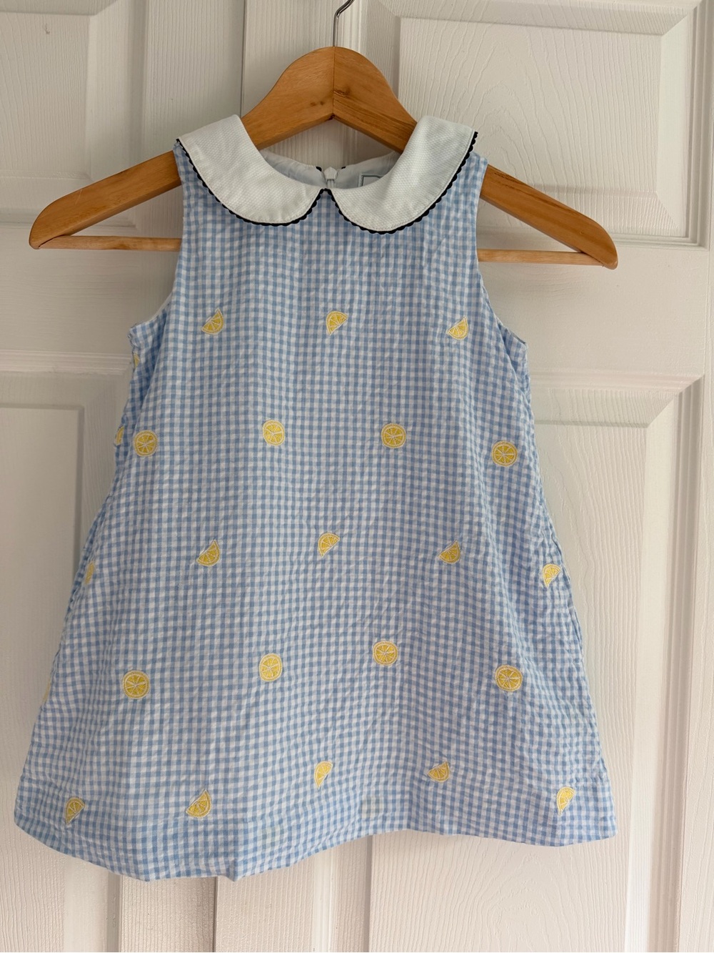 CPC Childrenswear Girls 4T Blue Gingham Lemon Embroidered Peter Pan Collar Dress